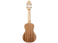 APC Pack APC 100 APC Pack APC 100